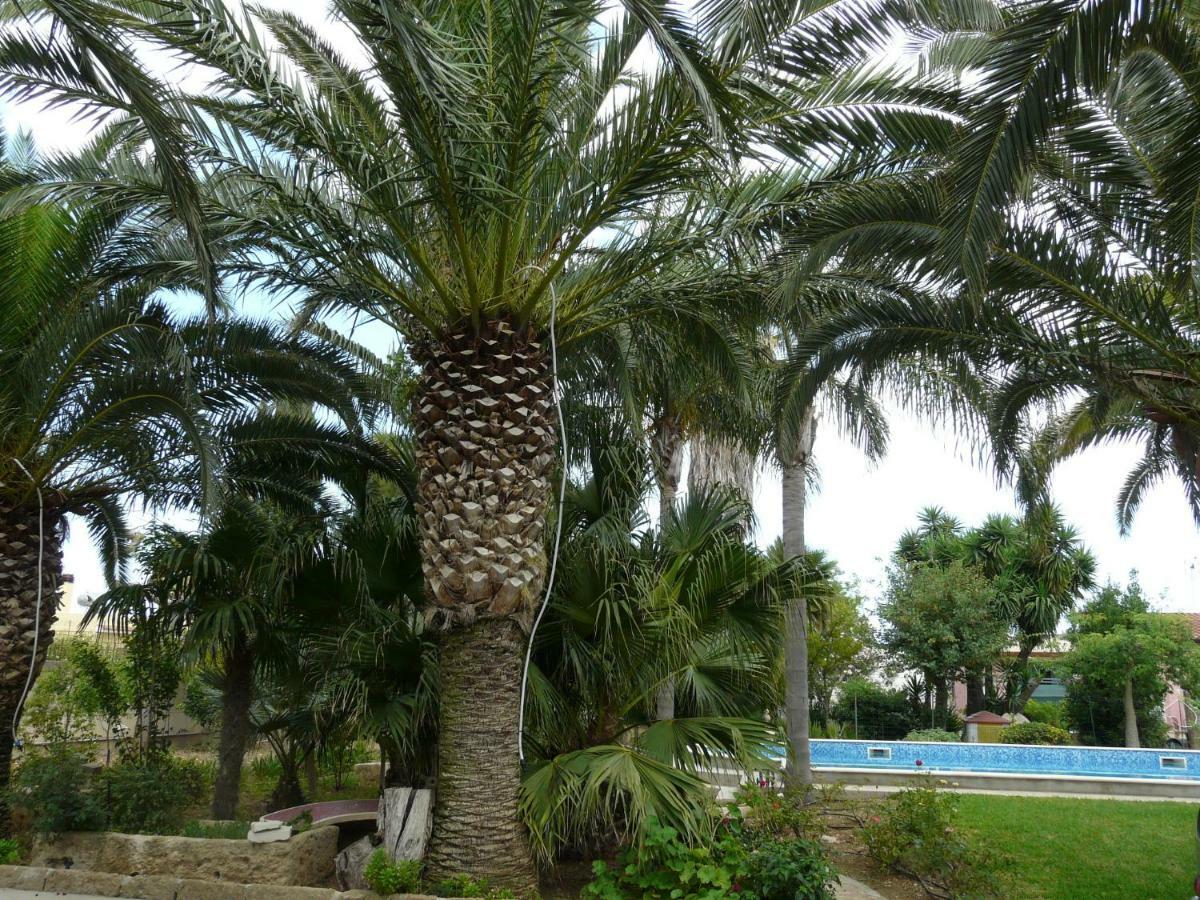 Villa Yucca Avola Exterior photo
