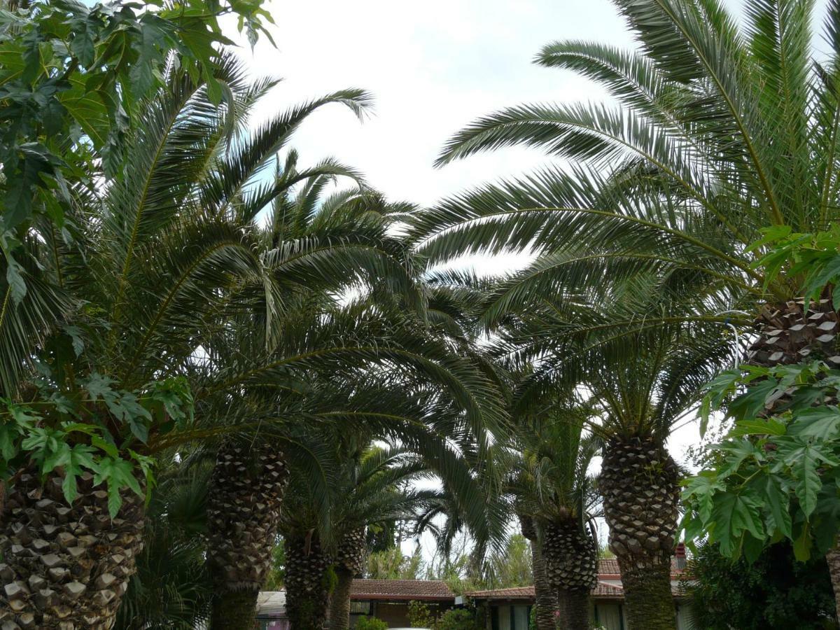 Villa Yucca Avola Exterior photo