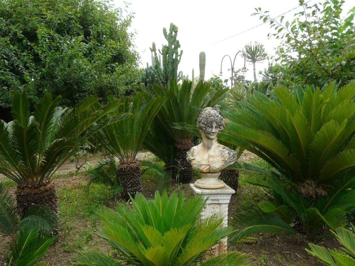Villa Yucca Avola Exterior photo